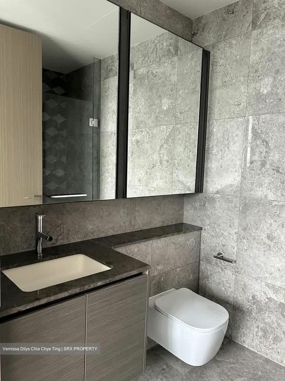 Leedon Green (D10), Condominium #558138531